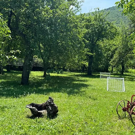 Idila Pod Rtnjem - Najam Cele Vikendice Sa Bazenom Ilino