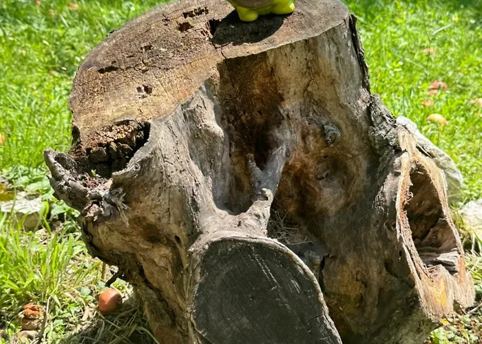 Idila Pod Rtnjem - Najam Cele Vikendice Sa Bazenom Ilino